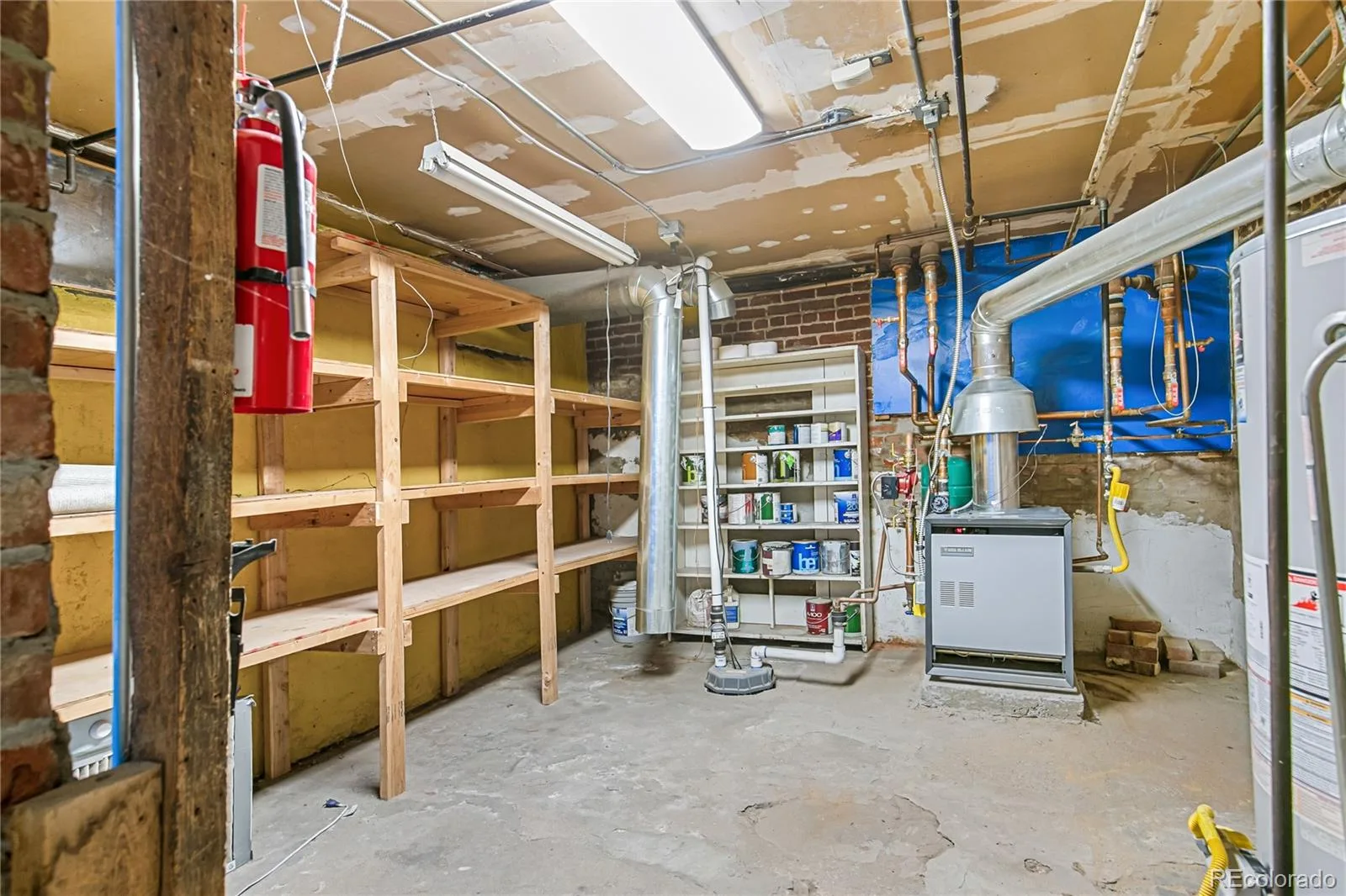 1466 N Detroit Street Denver CO 80206 | MLS #REC8024787 09282026145653 1600 25