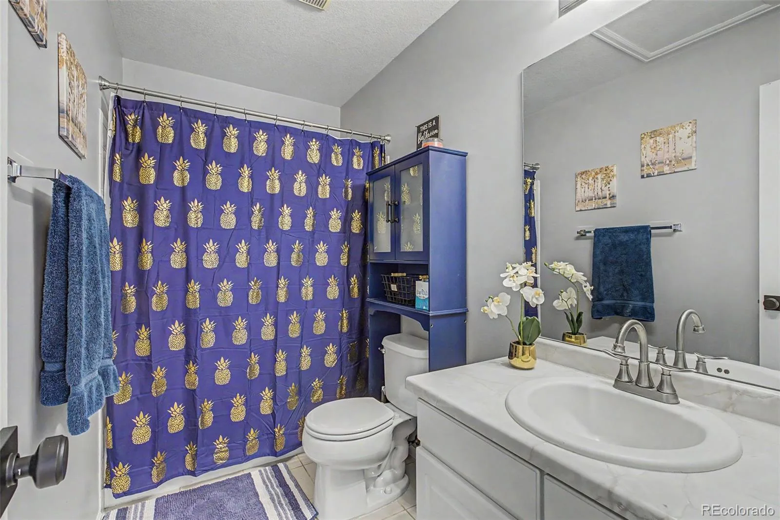 15137 E Nassau Avenue Aurora CO 80014 | MLS #REC8026818 08262026150345 1600 25