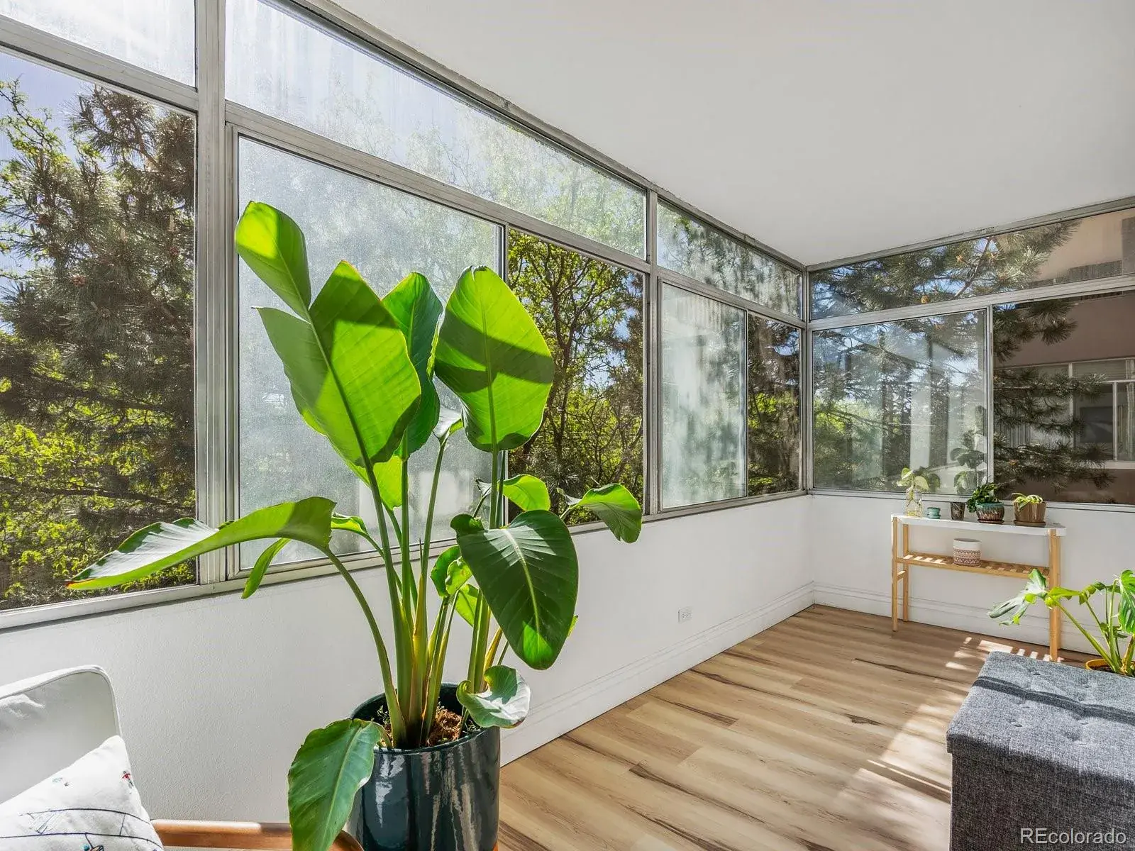 02212026032420 1600 26