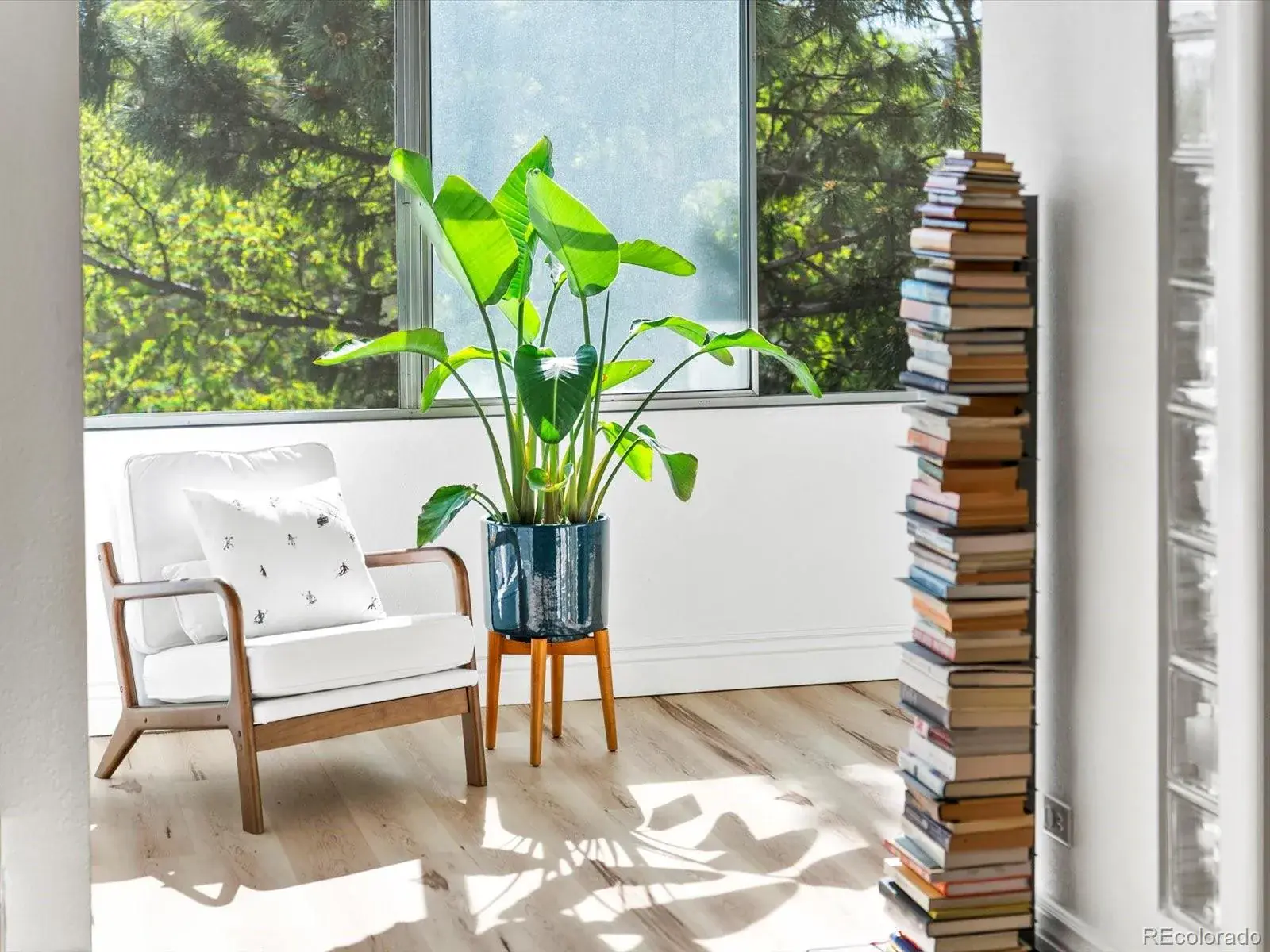 02212026032420 1600 3