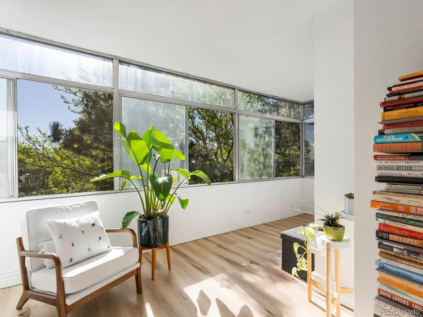 02212026032420 1600 4