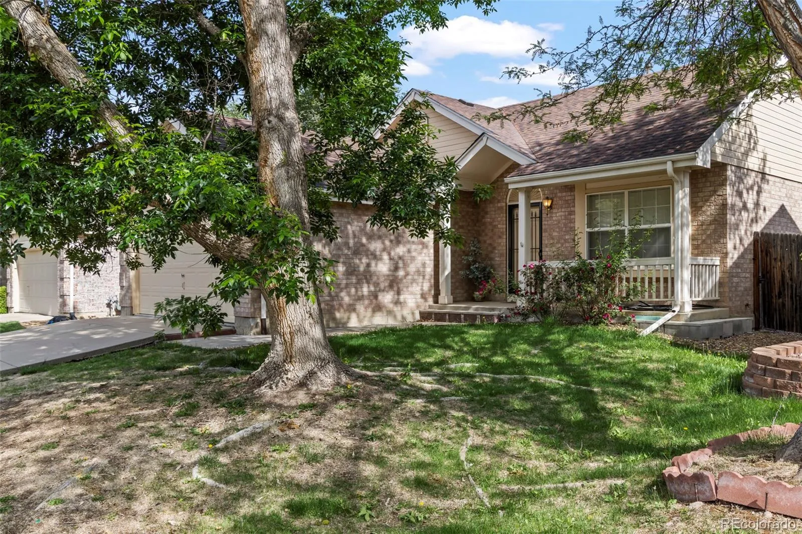 2871 Elaine Drive Broomfield CO 80020 MLS #REC8038642 05282026024431 1600 1