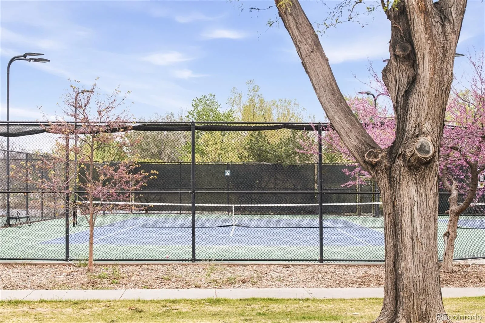 649 S Ogden Street Denver CO 80209 MLS #REC8045790 05182026194504 1600 32