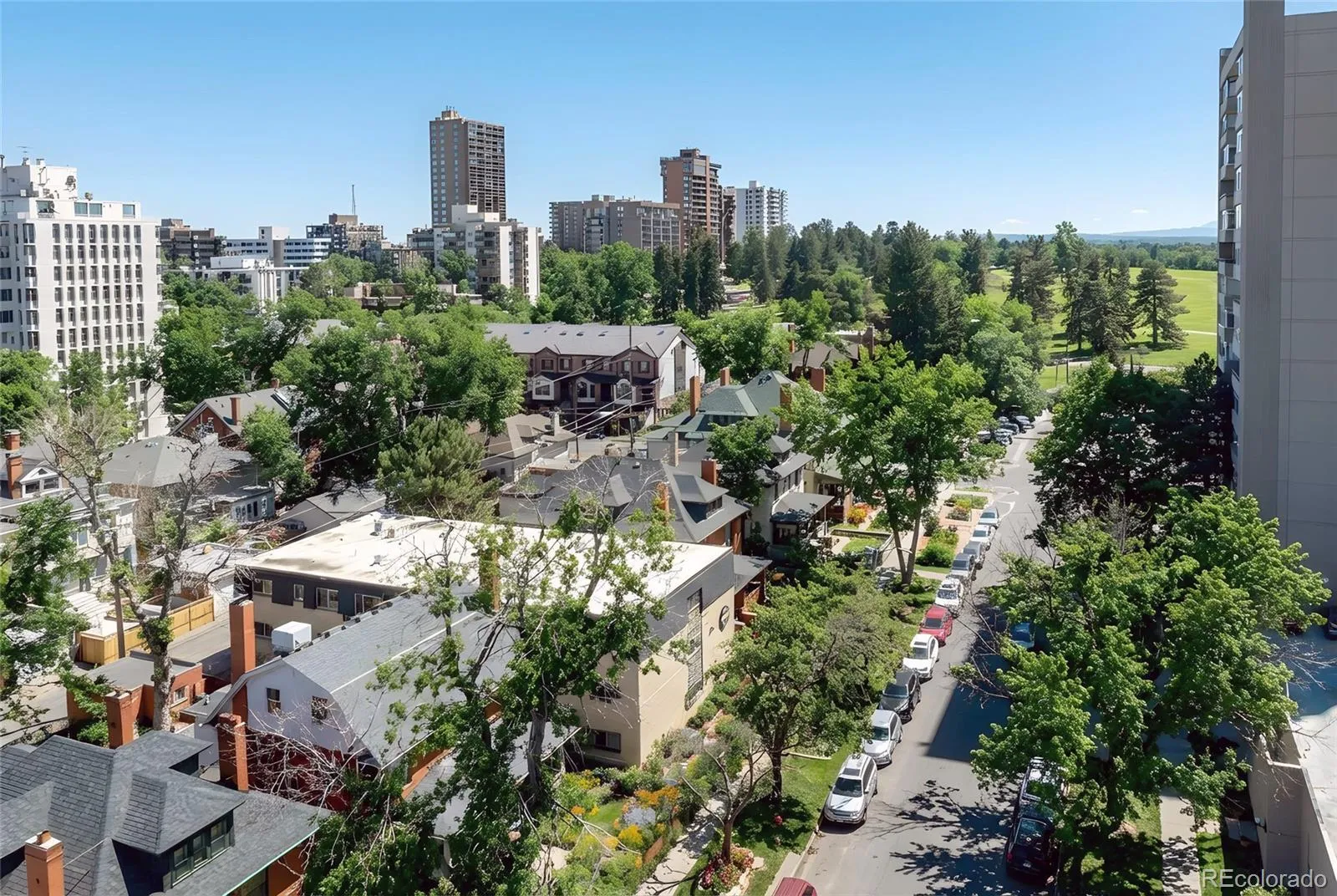 1332 N Williams Street #202 Denver CO 80218 MLS #REC8050541 05202026143552 1600 18