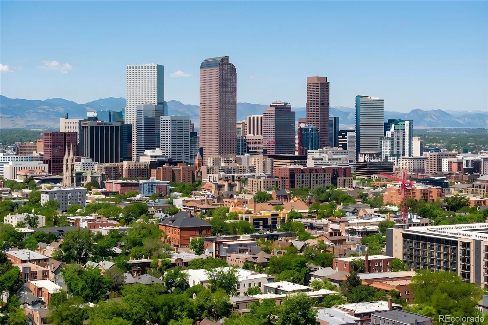 1332 N Williams Street #202 Denver CO 80218 MLS #REC8050541 05202026143552 1600 27