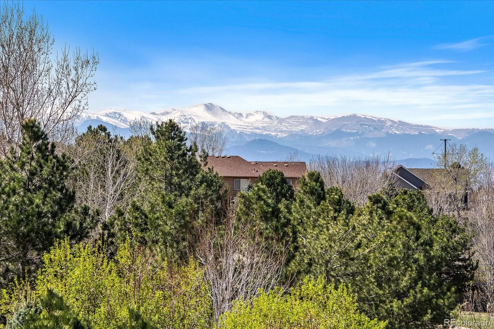 22455 Laurel Oak Drive Parker CO 80138 | MLS #REC8058139 07142026221722 1600 29