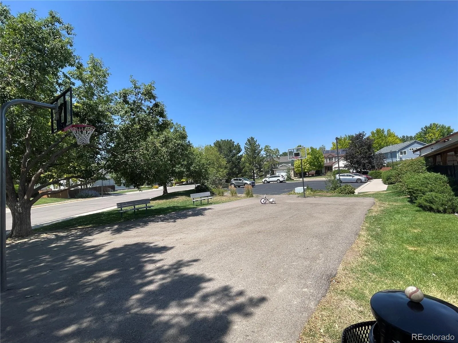 3401 Larkspur Drive Longmont CO 80503 | MLS #REC8061340 07282026164506 1600 39