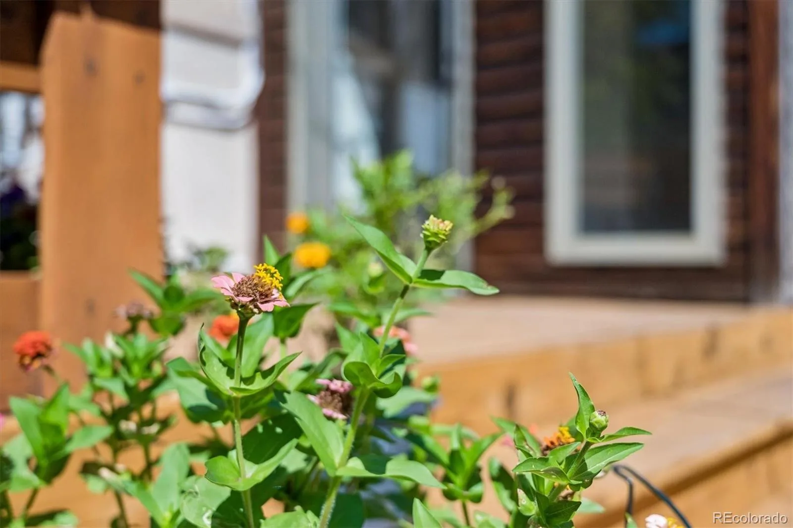 534 S Logan Street Denver CO 80209 | MLS #REC8082811 09222026083936 1600 38