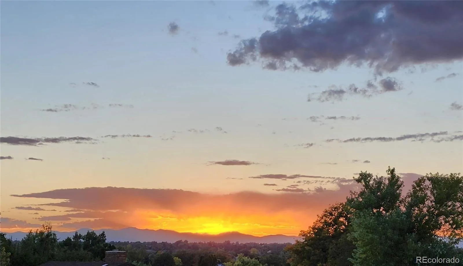 16562 E Louisiana Drive Aurora CO 80017 MLS #REC8085042 07012026172341 1600 47