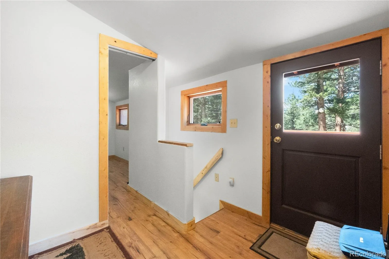 48 Linn Circle Evergreen CO 80439 | MLS #REC8093976 05182026181349 1600 20