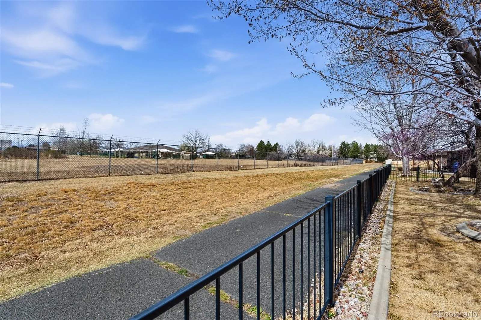 03302026203811 1600 22