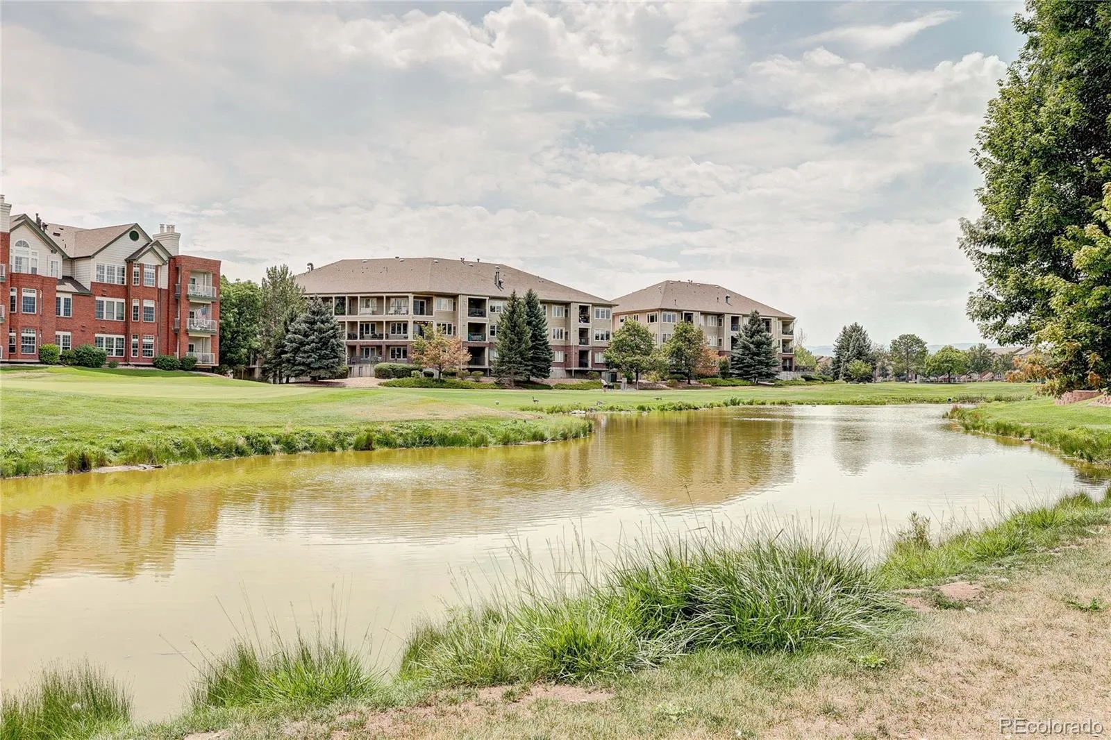 2812 W Centennial Drive #D Littleton CO 80123 | MLS #REC8096975 08122026045451 1600 24