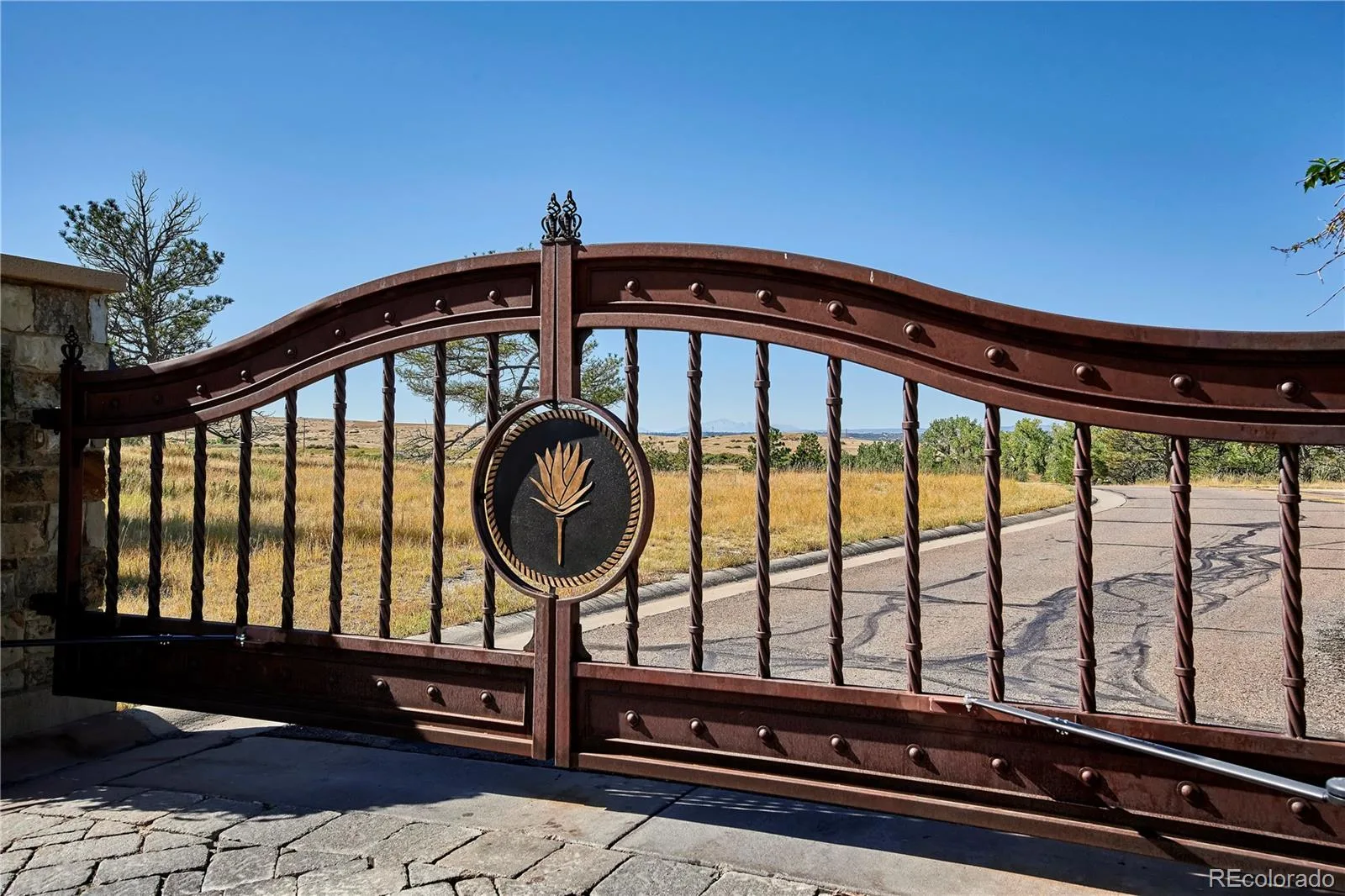 7838 Majestic Sky Drive Parker CO 80134 | MLS #REC8105682 06082026205216 1600 14