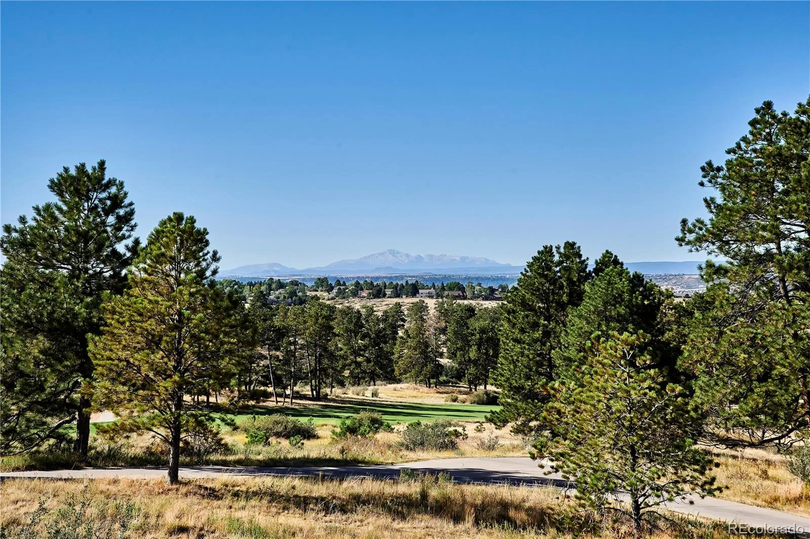 7838 Majestic Sky Drive Parker CO 80134 | MLS #REC8105682 06082026205216 1600 19