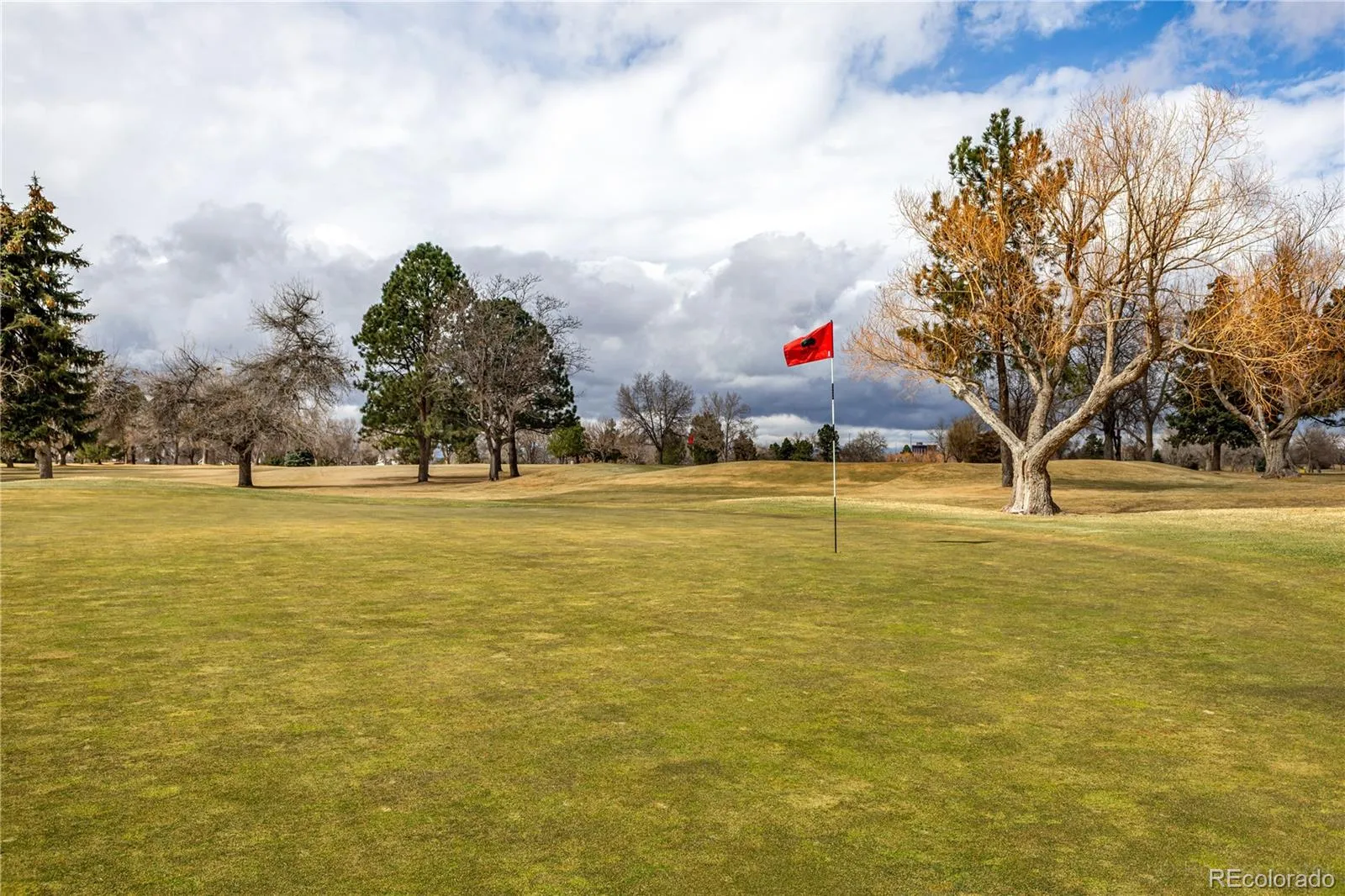 3914 S Dillon Way #A Aurora CO 80014 MLS #REC8111310 04212026161630 1600 24
