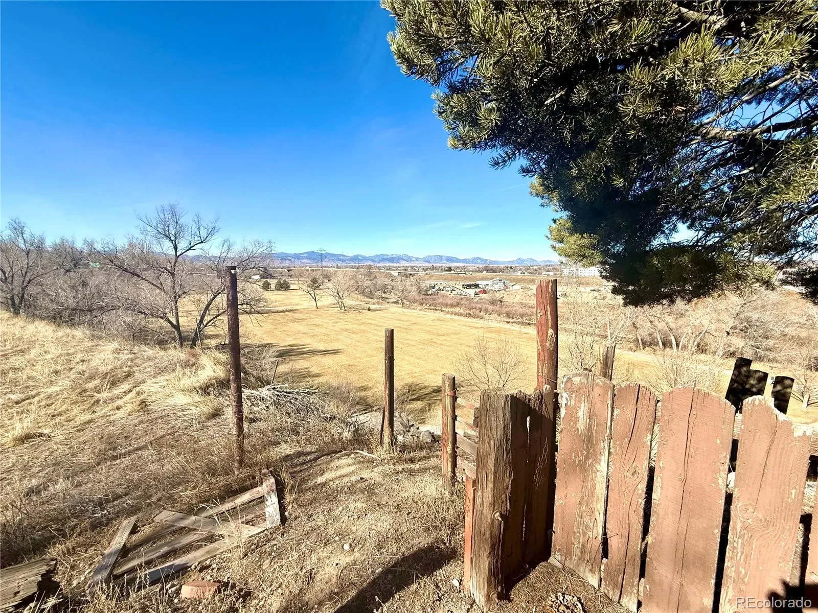 03162026153442 1600 15