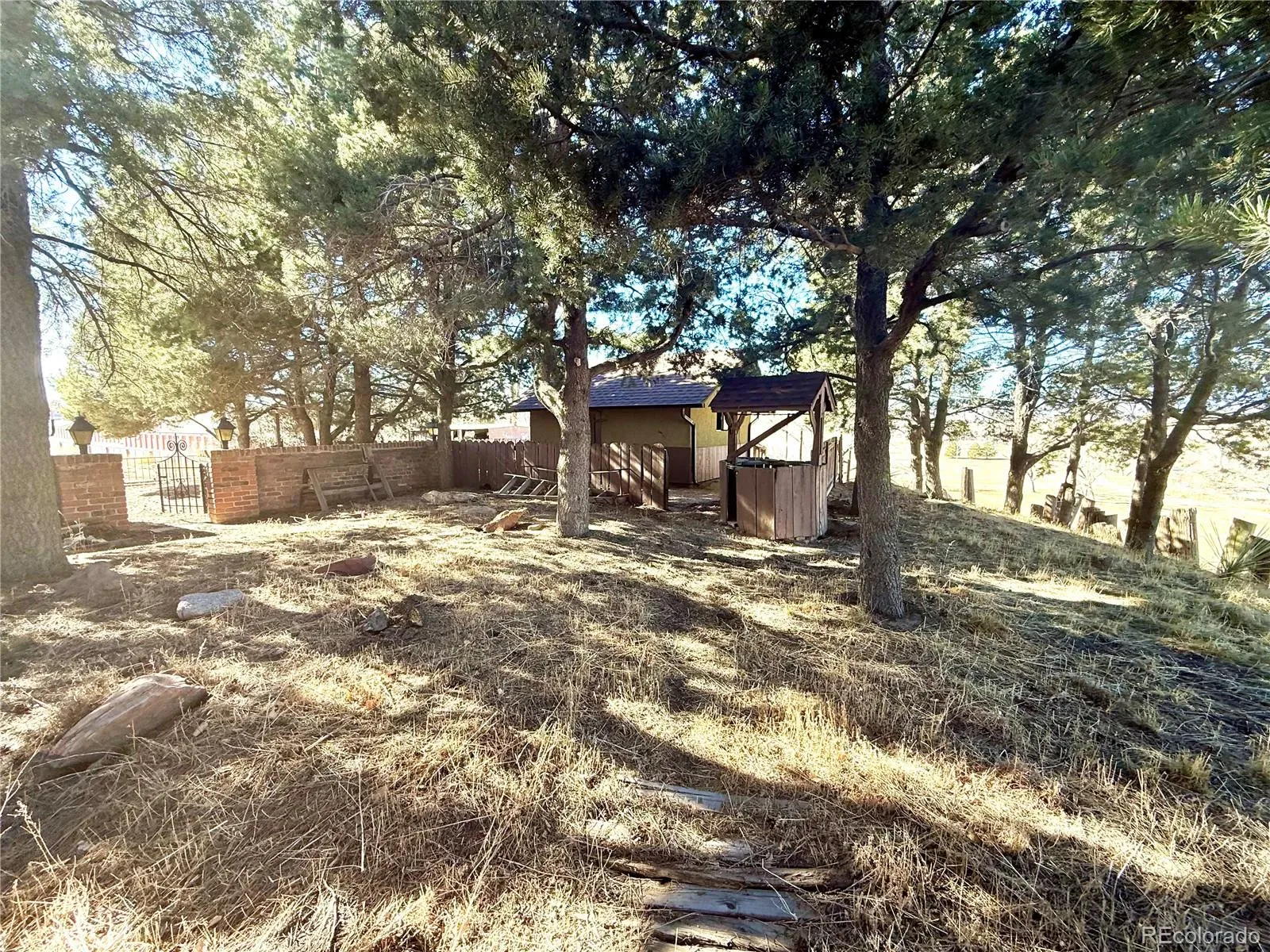 03162026153442 1600 19