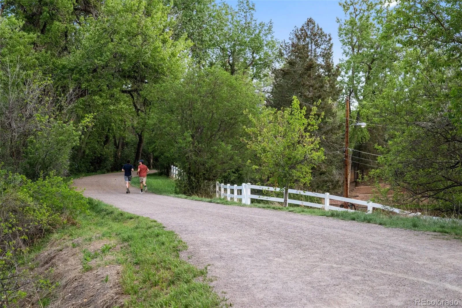 813 W Geddes Circle Littleton CO 80120 MLS #REC8116394 05182026192533 1600 37