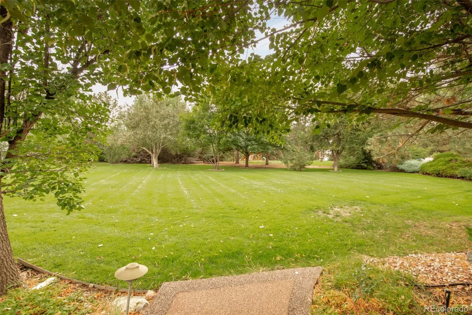 03102026180456 1600 1