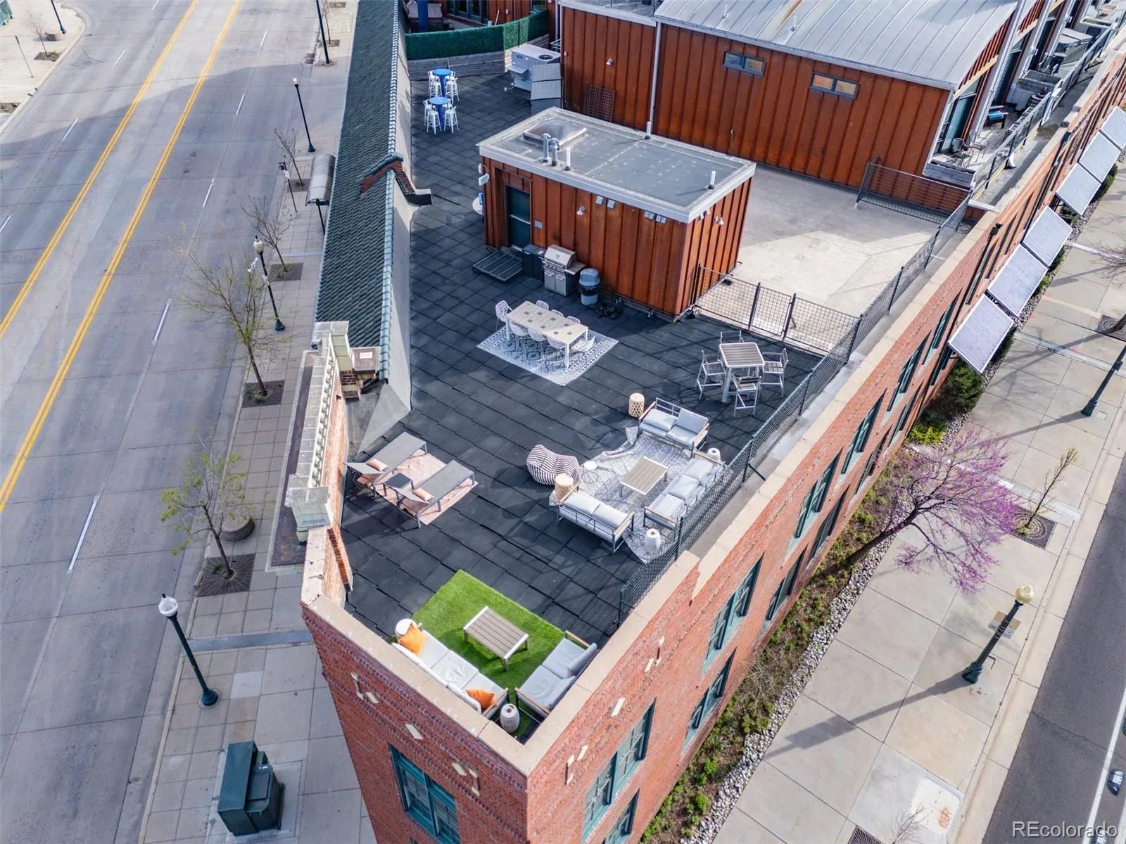 2441 N Broadway #202 Denver CO 80205 MLS #REC8124100 05232026095947 1600 25