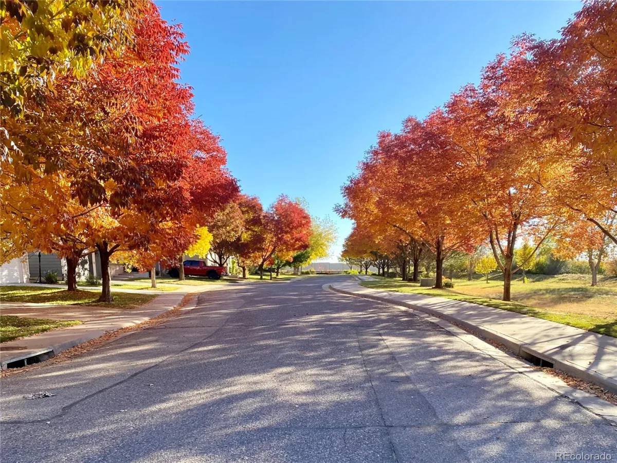 6827 W Rockland Place Littleton CO 80128 | MLS #REC8129740 08212026225907 1200 20