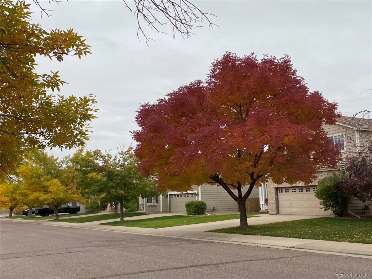 6827 W Rockland Place Littleton CO 80128 | MLS #REC8129740 08212026225907 1200 22