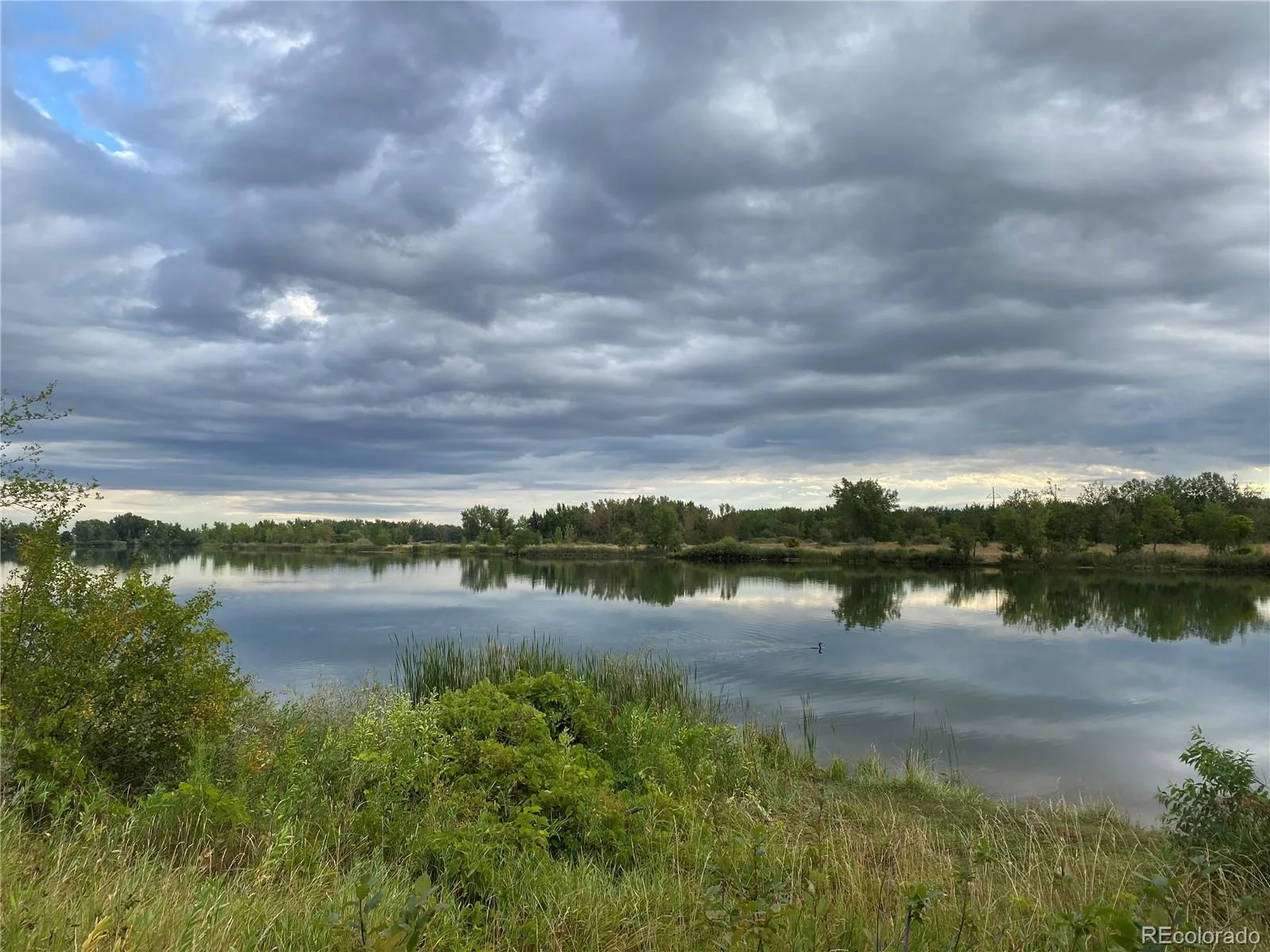 6827 W Rockland Place Littleton CO 80128 | MLS #REC8129740 08212026225907 1600 23
