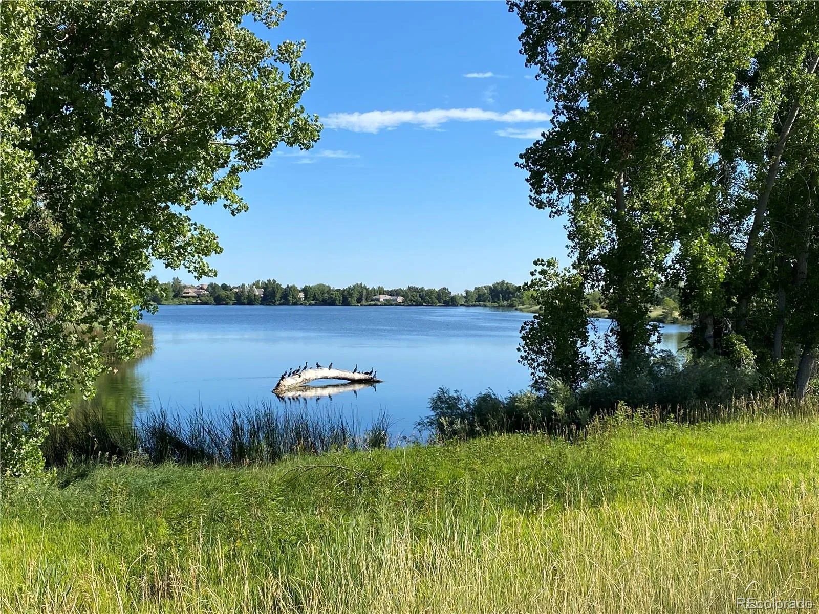 6827 W Rockland Place Littleton CO 80128 | MLS #REC8129740 08212026225907 1600 24