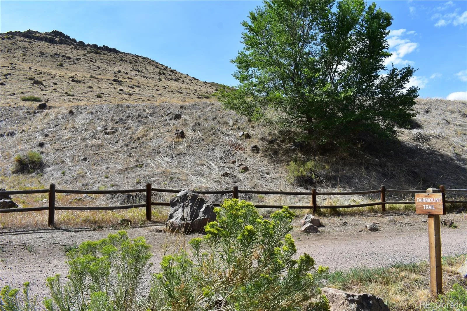 4701 Indiana Street Golden CO 80403 | MLS #REC8143507 08262026233701 1600 31