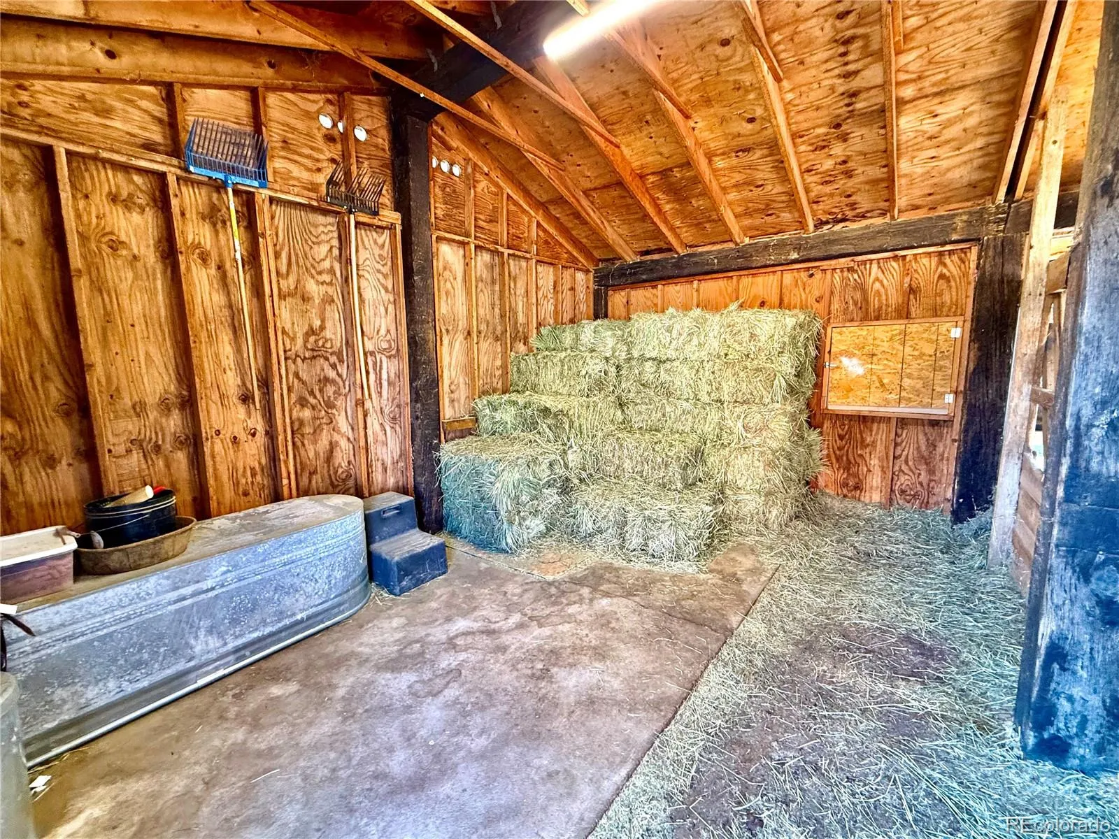 04142026161529 1600 34