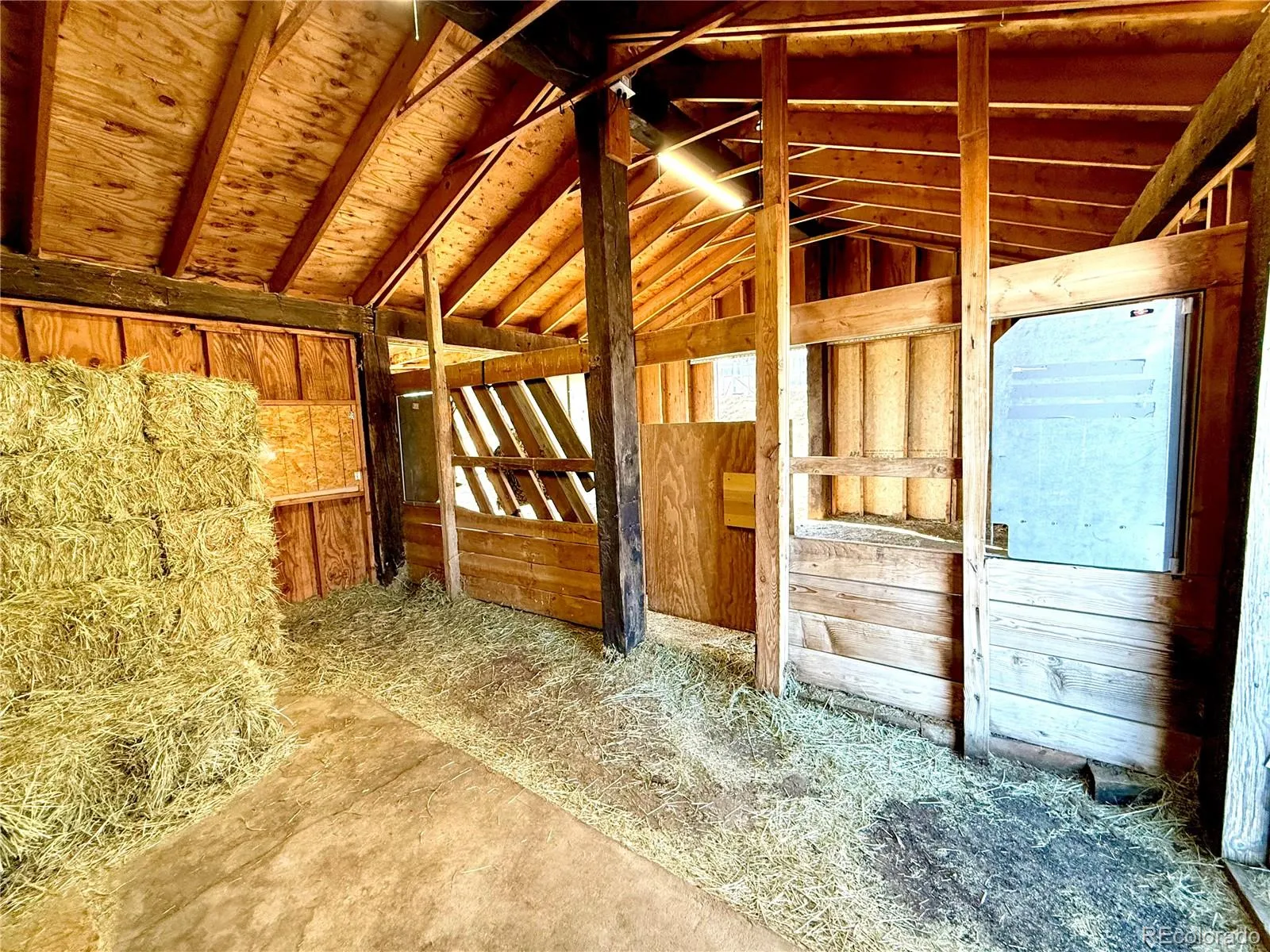 04142026161529 1600 35