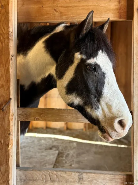 04142026161529 800 37