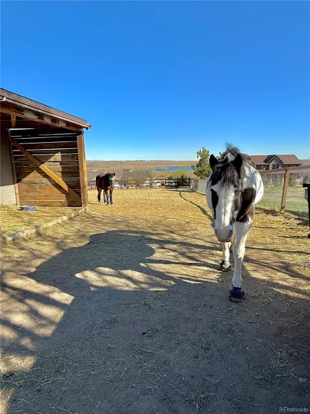 04142026161529 800 39