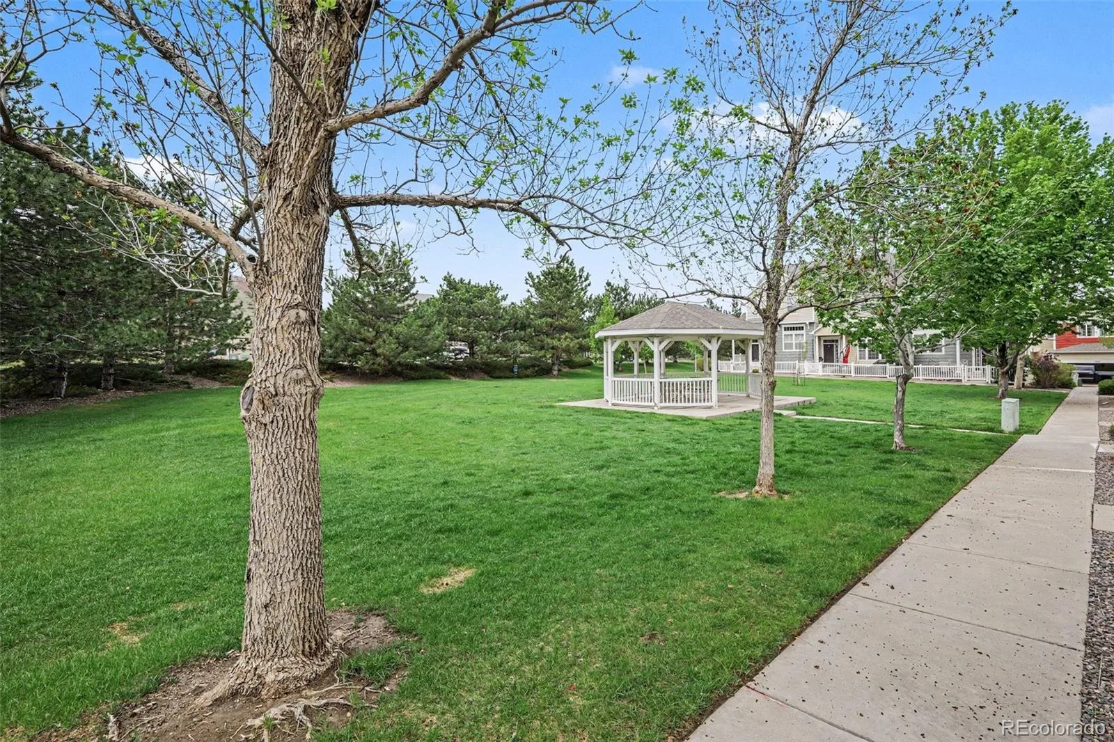 1459 Thunder Butte Road Castle Rock CO 80109 | MLS #REC8154041 08302026024347 1600 26