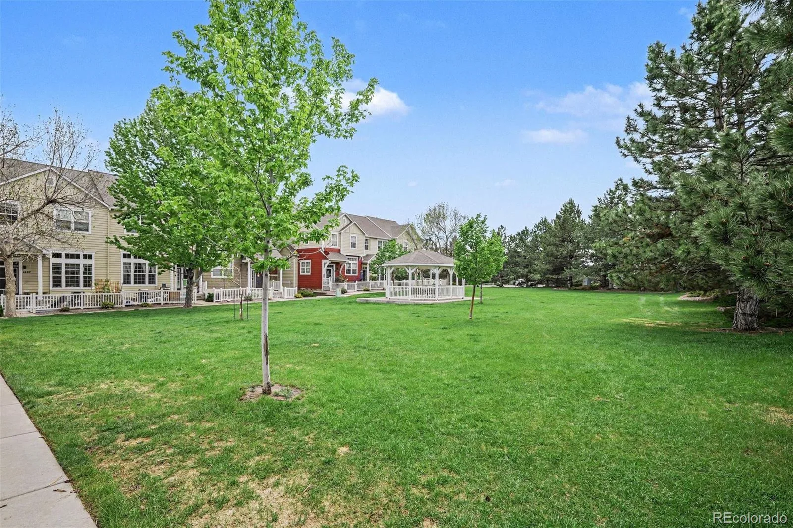 1459 Thunder Butte Road Castle Rock CO 80109 | MLS #REC8154041 08302026024347 1600 27
