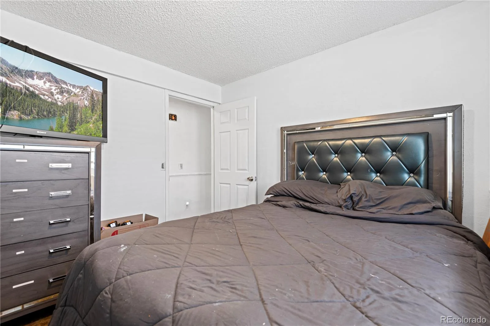 1740 E 96th Drive Denver CO 80229 | MLS #REC8155399 07242026163304 1600 20