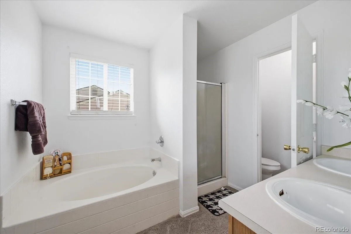14363 E 47th Drive Denver CO 80239 | MLS #REC8156529 05302026045255 1200 19