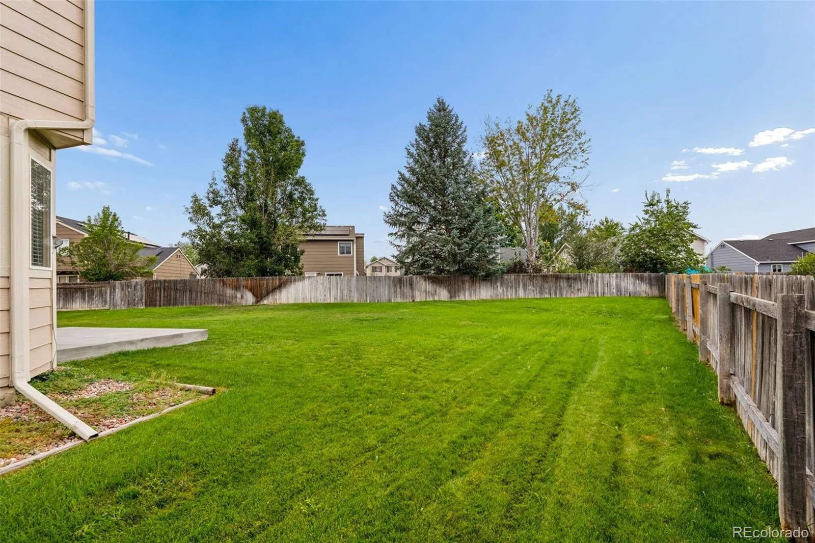 1620 W 135th Way Westminster CO 80234 | MLS #REC8173353 08282026175856 1600 25