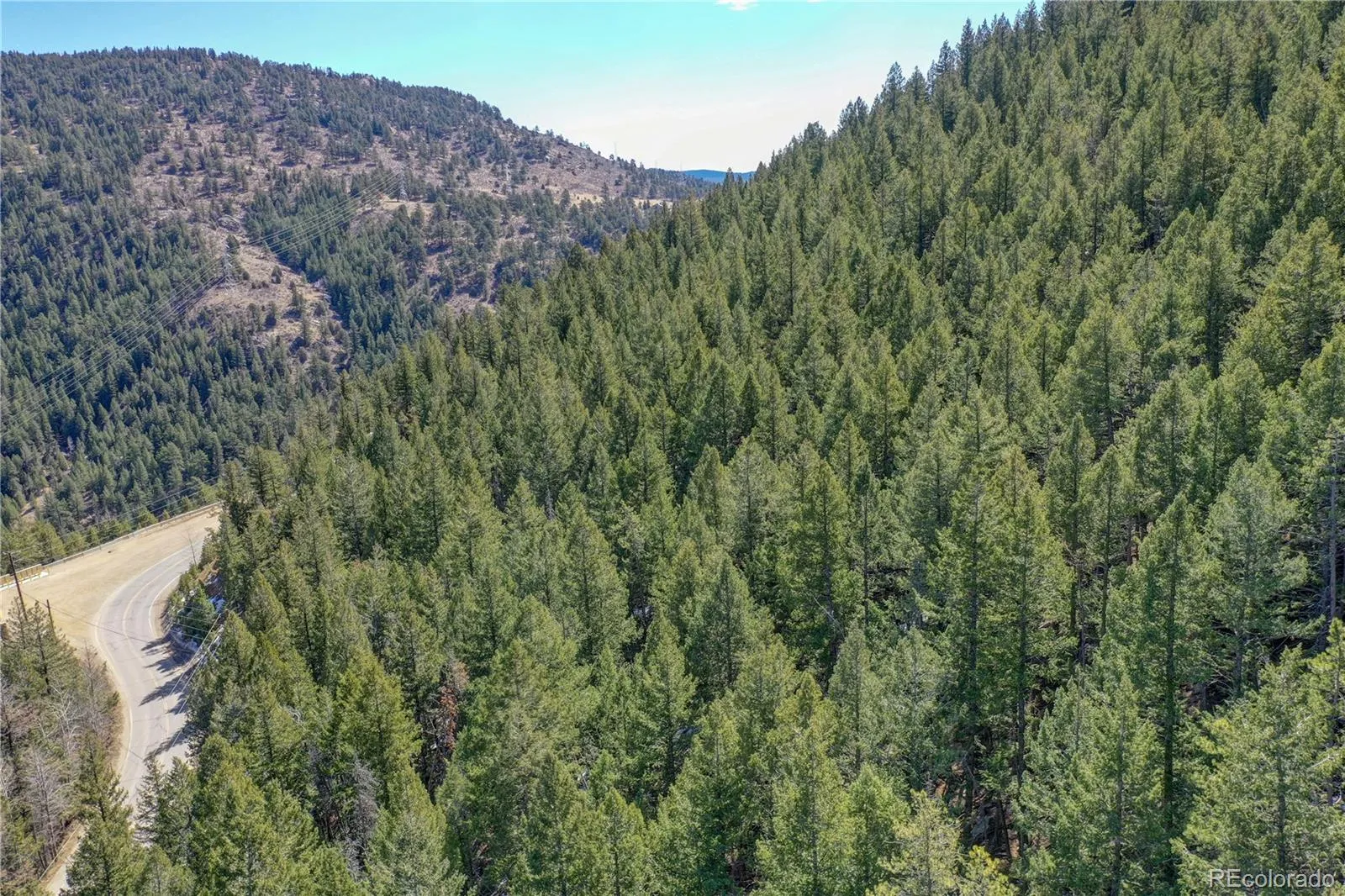 00 Saddleback Evergreen CO 80439 MLS #REC8175579 05162026041607 1600 12