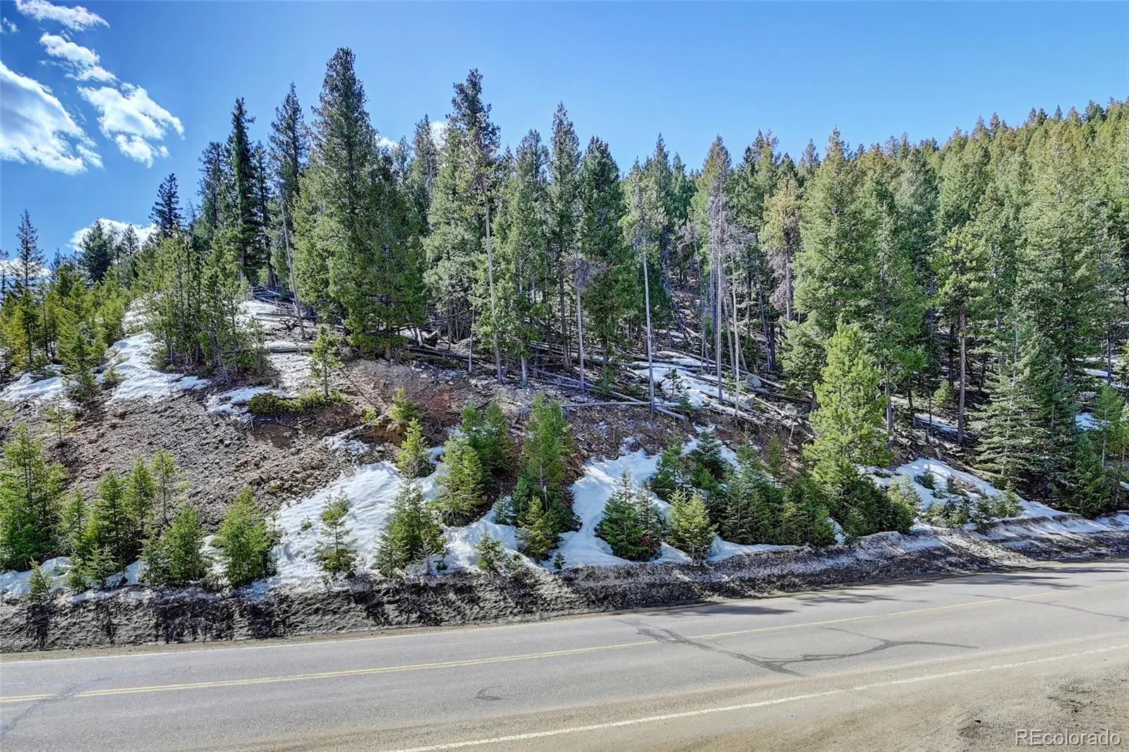 00 Saddleback Evergreen CO 80439 MLS #REC8175579 05162026041607 1600 2