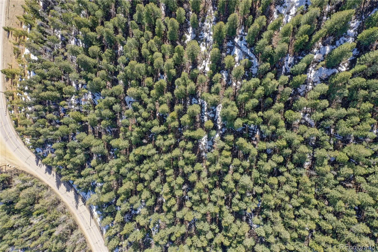 00 Saddleback Evergreen CO 80439 MLS #REC8175579 05162026041607 1600 5