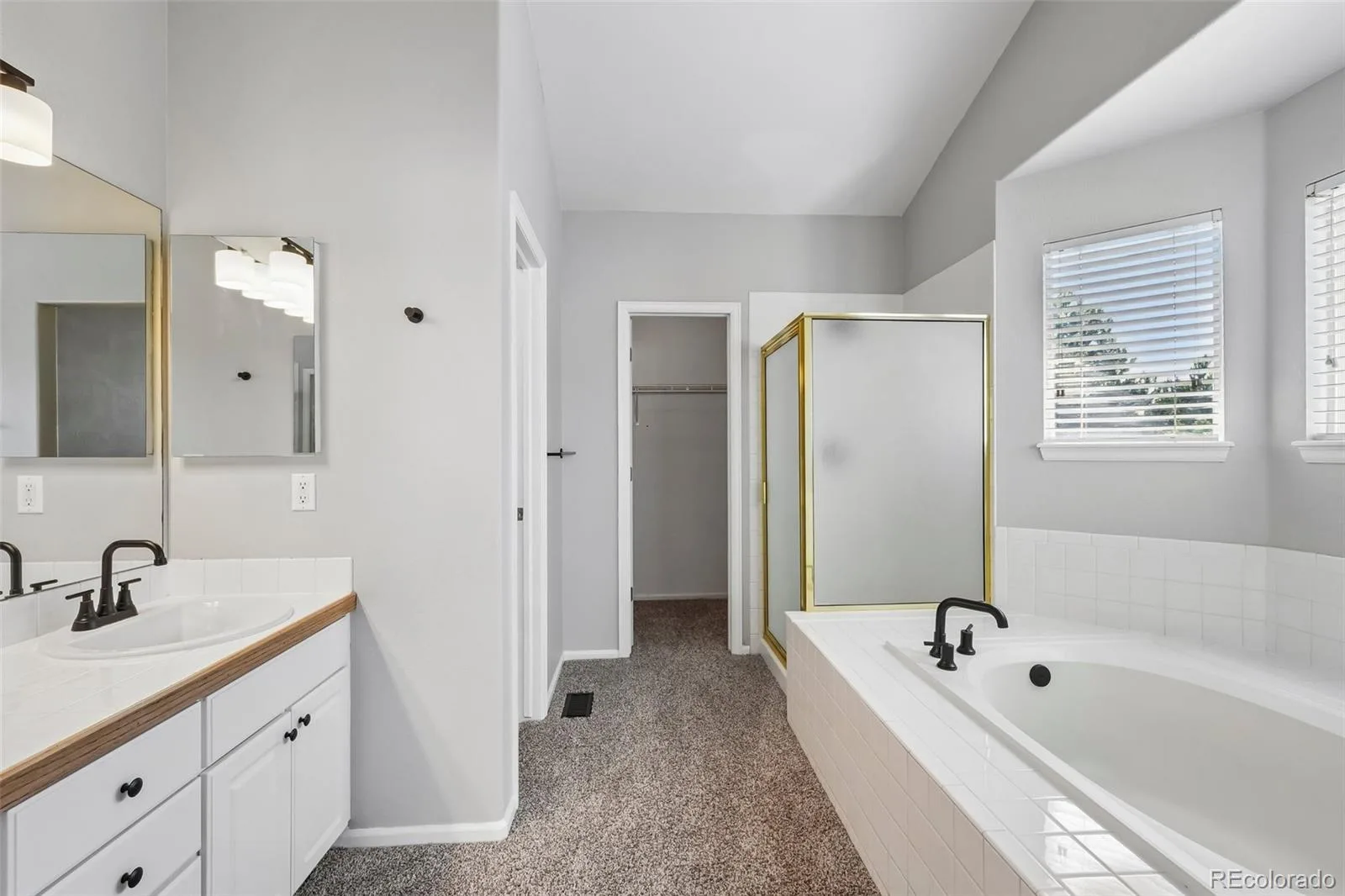 6642 Tiger Tooth Lone Tree CO 80124 | MLS #REC8178002 08072026202830 1600 26