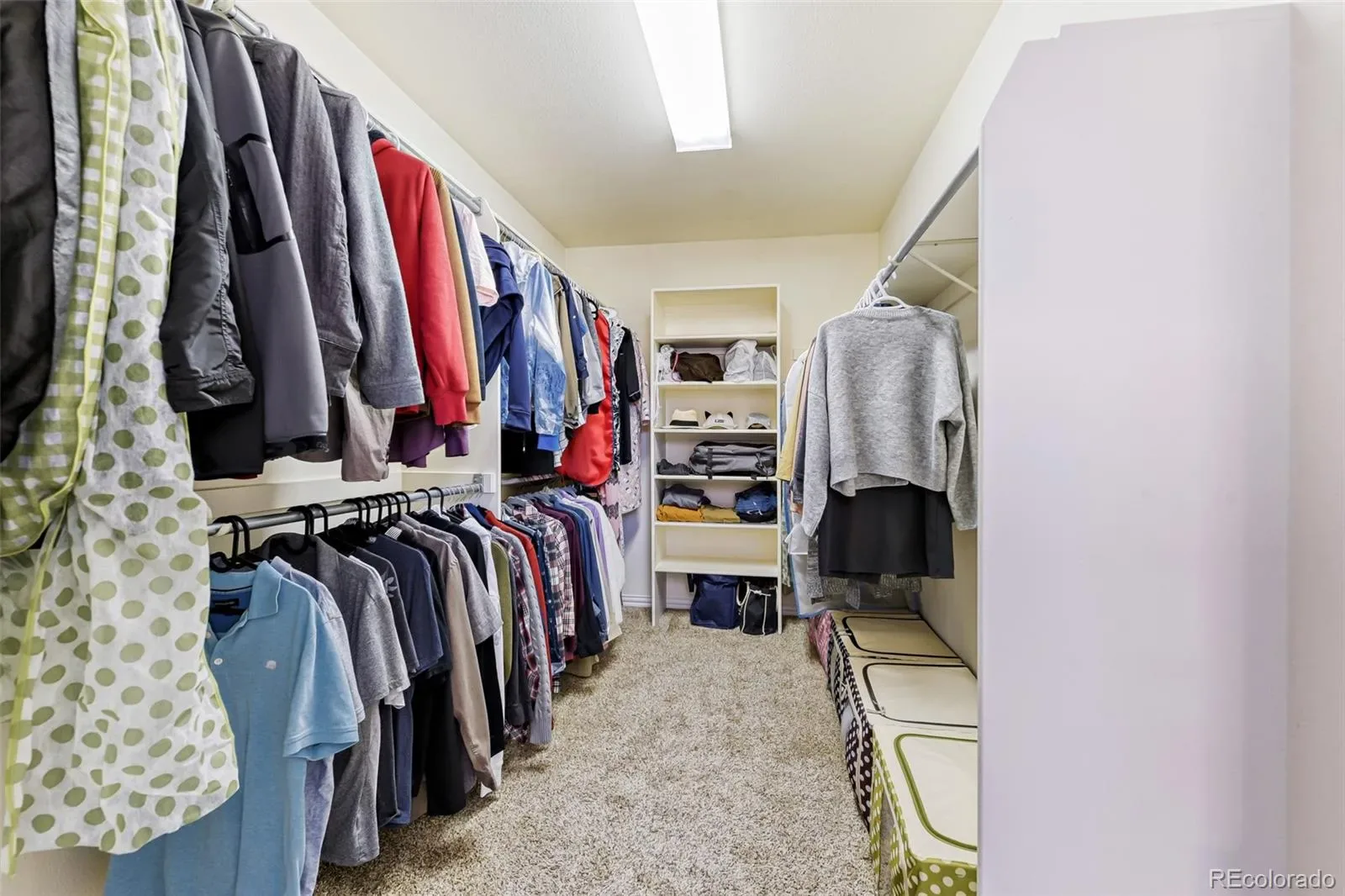 03102026200033 1600 18