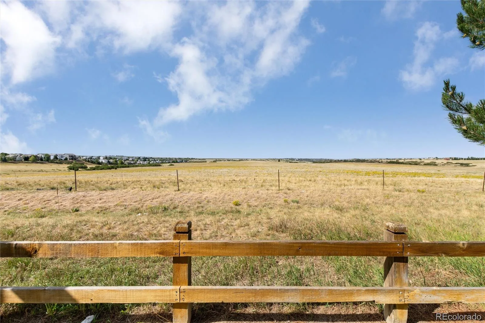 2423 Cutters Circle #102 Castle Rock CO 80108 | MLS #REC8183461 08282026144936 1600 31