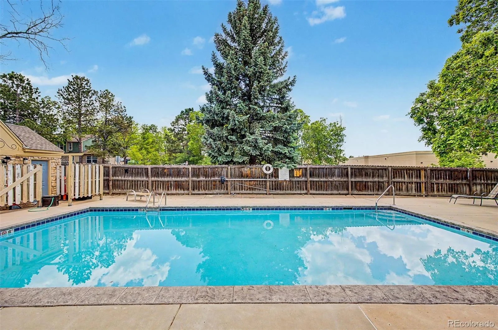8198 S Columbine Court Centennial CO 80122 | MLS #REC8185413 08282026170609 1600 15