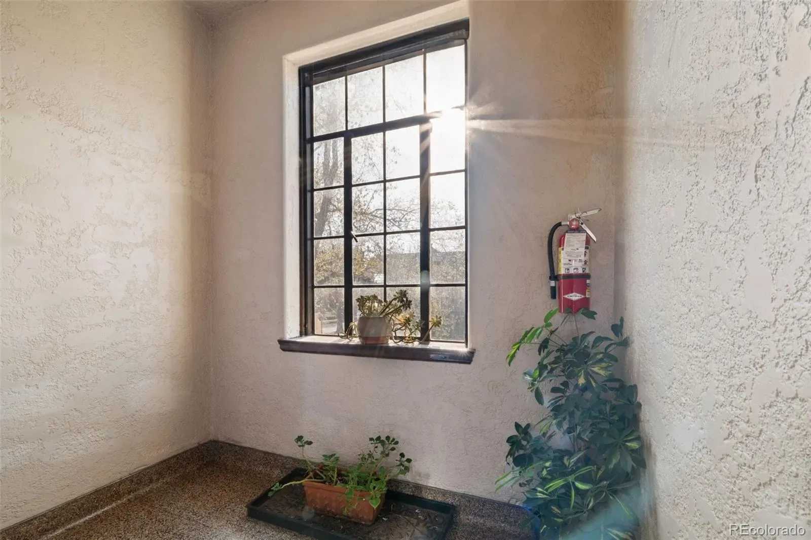 03132026012122 1600 38