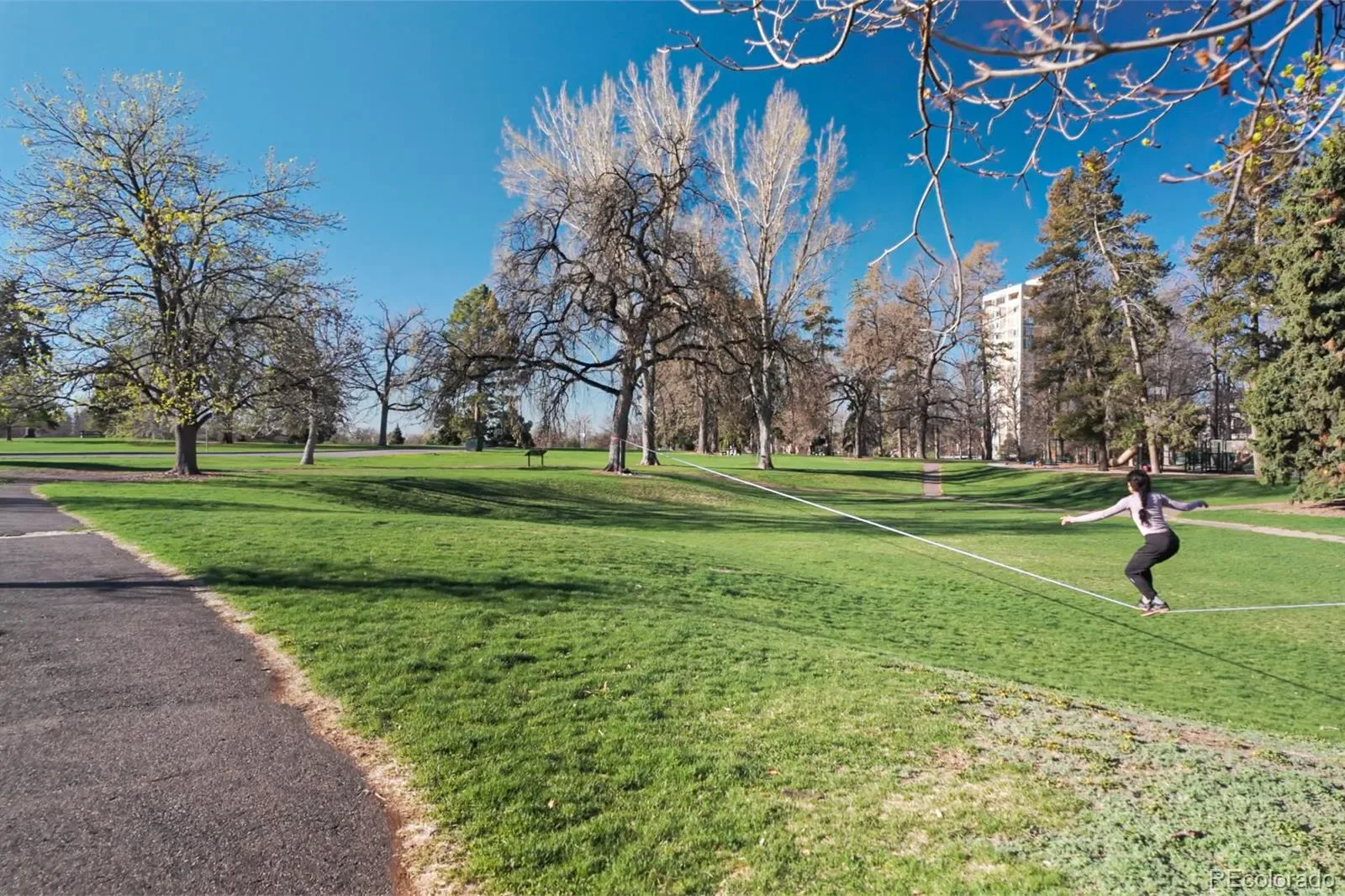 03132026012122 1600 41