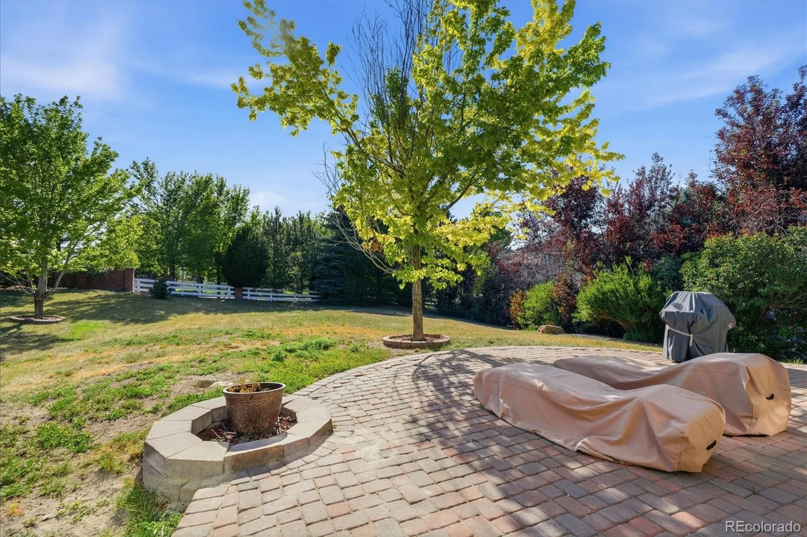20274 E Euclid Place Aurora CO 80016 MLS #REC8218224 06252026000855 1600 41