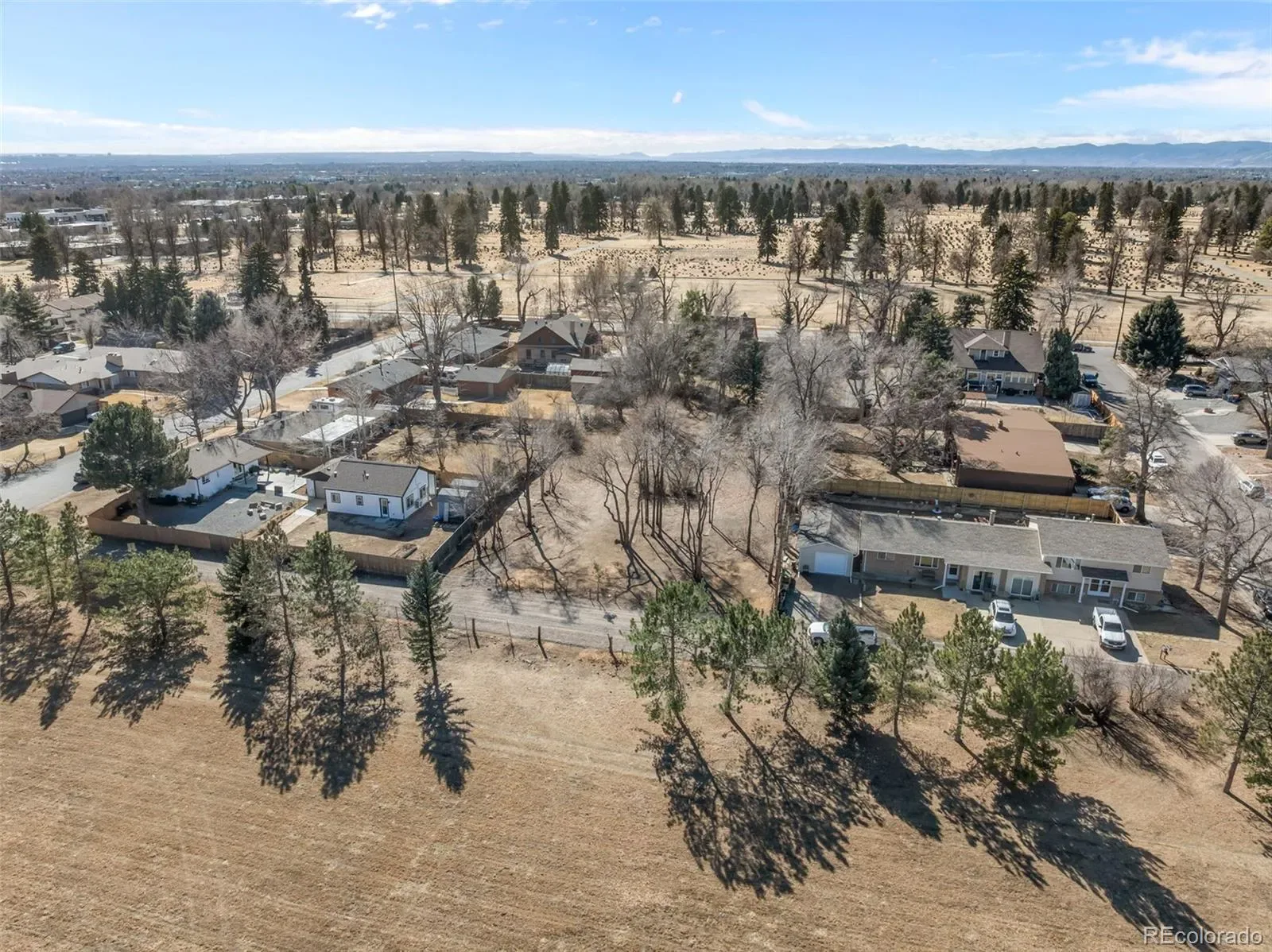 03282026153932 1600 21