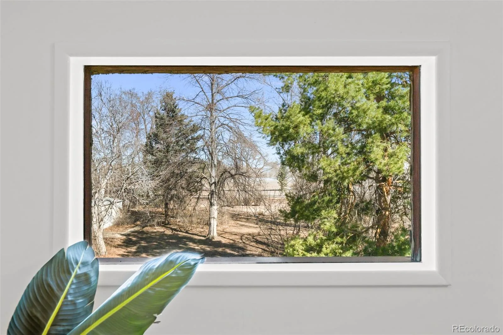 8075 W 32nd Avenue Wheat Ridge CO 80033 | MLS #REC8222211 08202026022809 1600 12